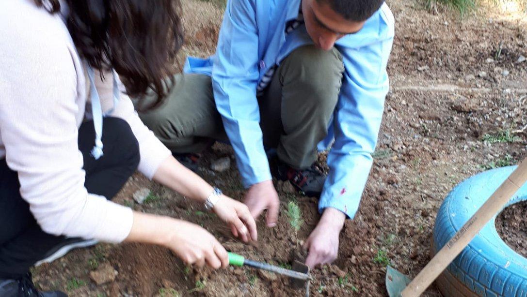 Şehit Recep Büyük Özel Eğitim Uygulama Okulu-Ağaçların Adları İstanbul Projesi Ağaç Dikimi