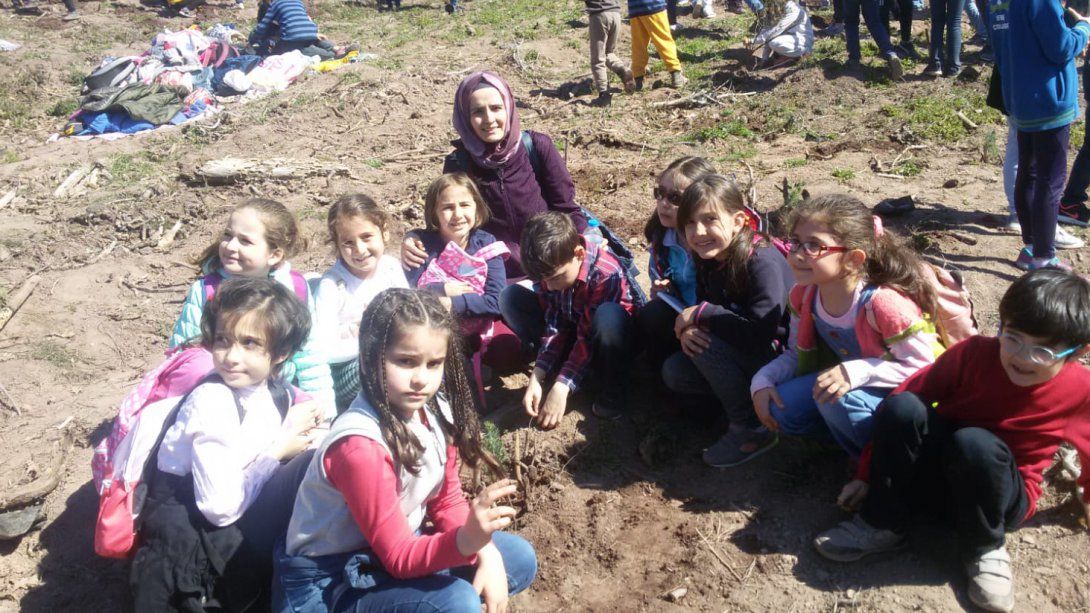 Sabri  Taşkın İlkokulu-Orman Haftası Fidan Dikimi 