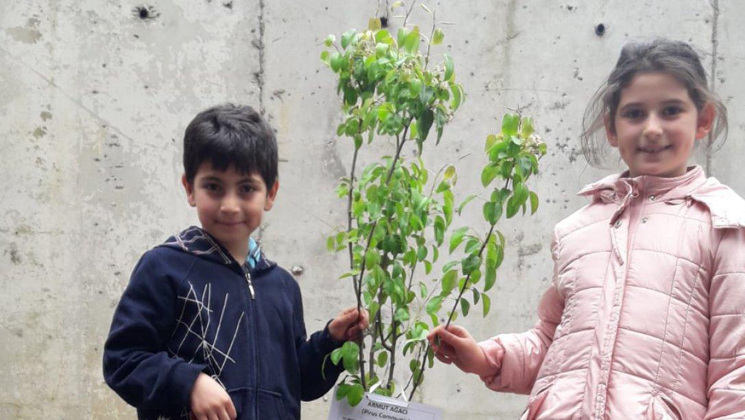 Eğe Sanayi İlkokulu-"Ağaçların Adı İstanbul" Projesi 