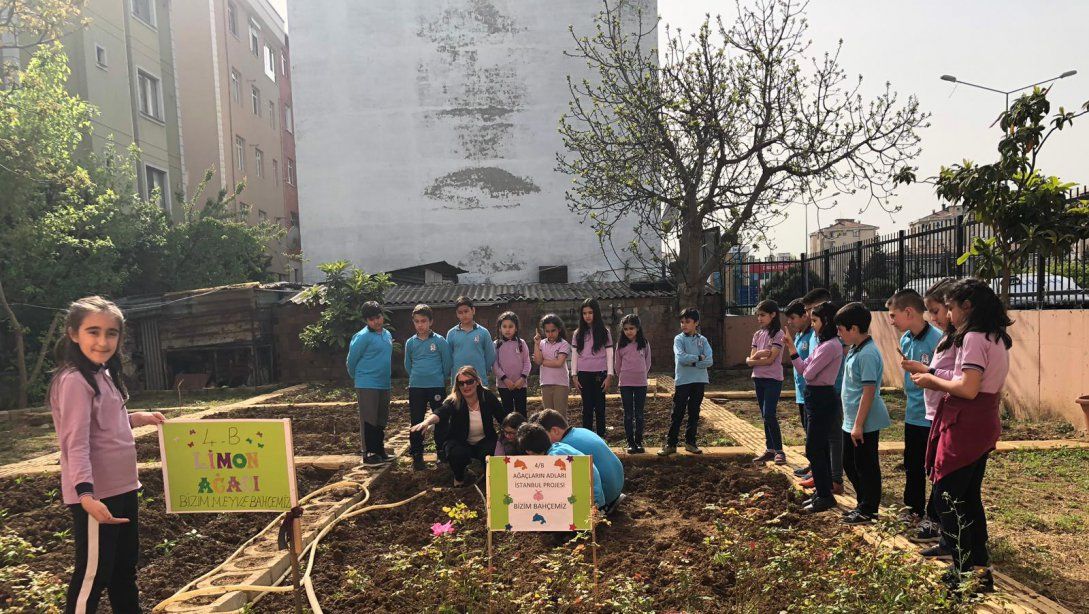 Bedri Rahmi Eyüboğlu İlkokulu- ''Ağaçların Adı İstanbul'' Projesi